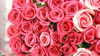 78b0e5ed6e0a8a01a28aec21ca9bdc